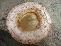 Le Paris Brest